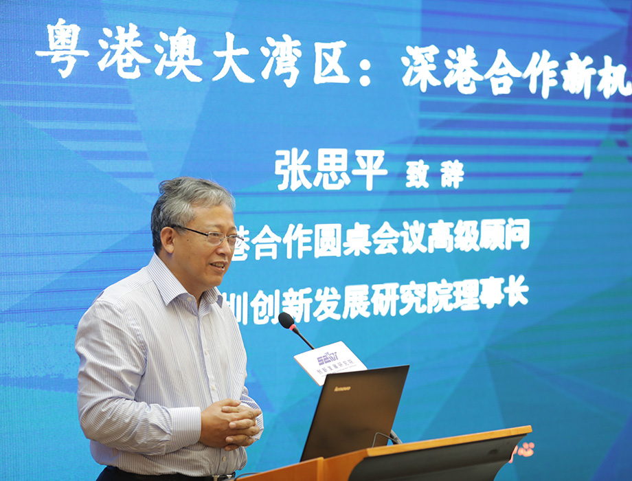 中國經濟體制改革基金會張思平：在粵港澳大灣區(qū)再造幾個香港                                                                  